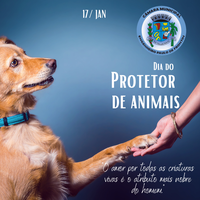  Dia dos Protetores de Animais!