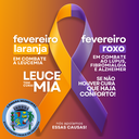 Fevereiro: Roxo e Laranja